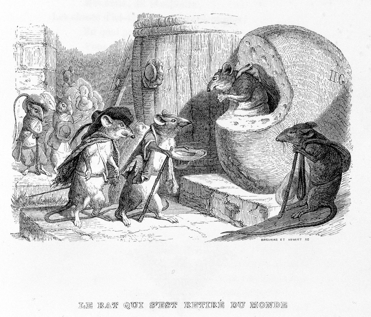 Rotta, joka vetäytyi maailmasta - "" Fables" -kirjassa" de La Fontaine, sairas. kirjoittanut Grandville tekijältä Grandville