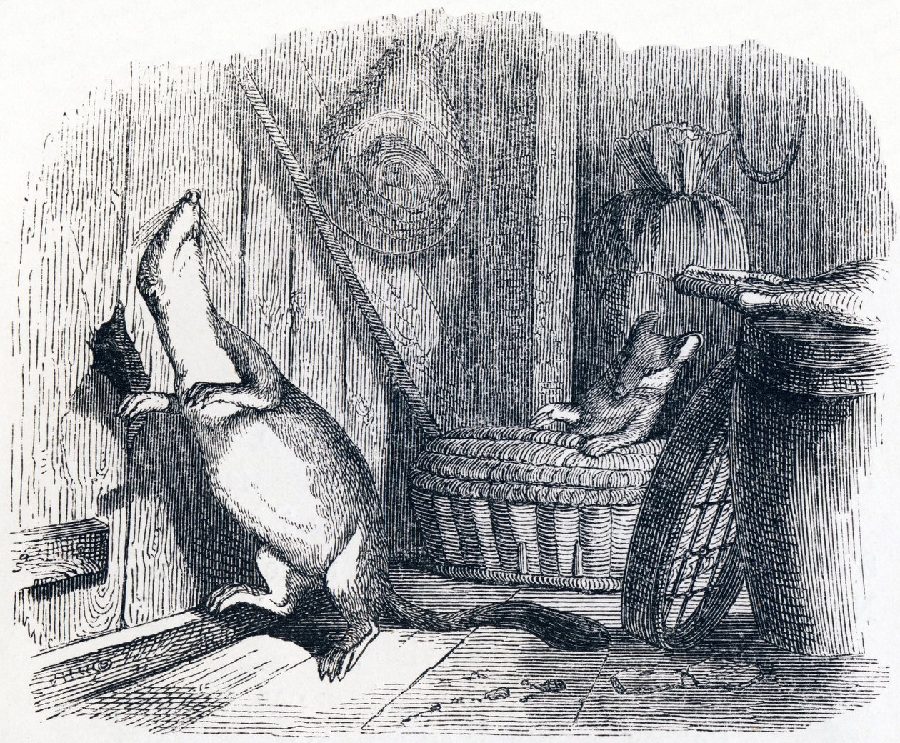 lumikko astuu ullakolle (La belette entree dans un grenier) - La Fontainen Fables tekijältä Grandville