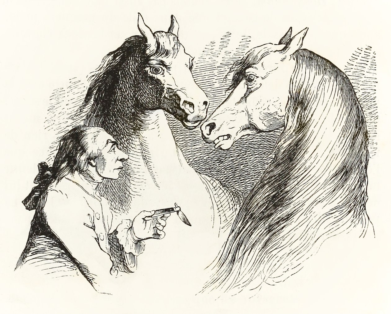 Gulliver keskustelee puhuvien hevosten kanssa Houyhnhnms Landissa Jonathan Swiftin Gullivers Travels -kirjasta. tekijältä Grandville