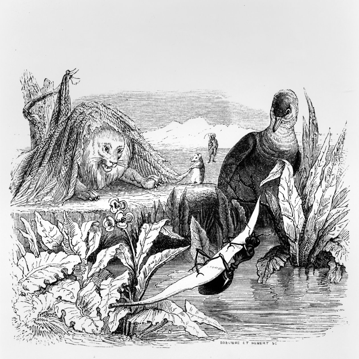 Kyyhkynen ja muurahainen ja leijona ja rotta, kuvitus La Fontainen taruille, julkaisija H. Fournier Aine, 1838 tekijältä Grandville