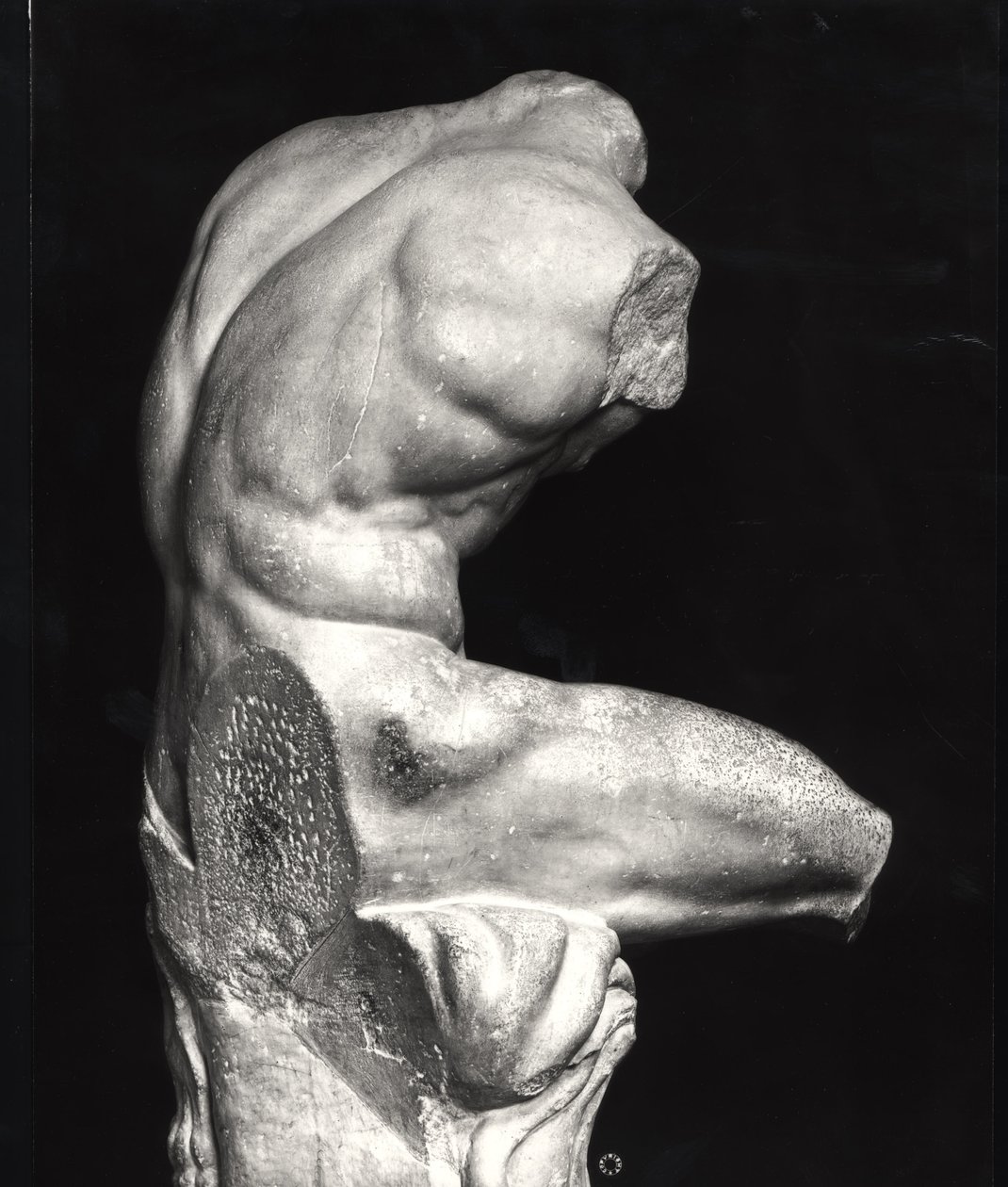 Belvederen vartalo (marmori) (m/w kuva) tekijältä Greco Roman Greco Roman