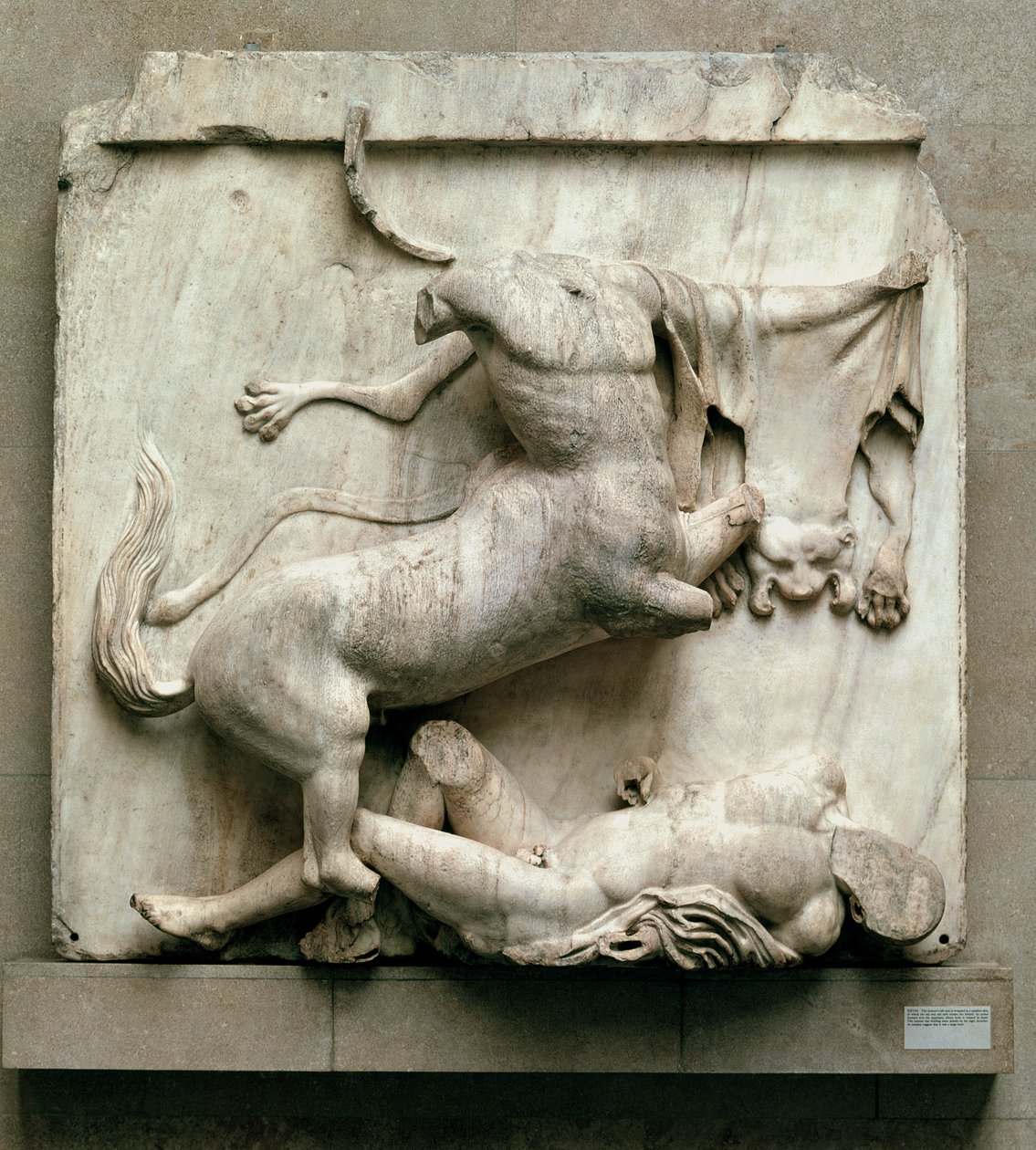 Kentauri voitti Lapith, metooppi XXVIII Parthenonin eteläpuolelta, 447-432 eKr. (marmori) tekijältä Greek