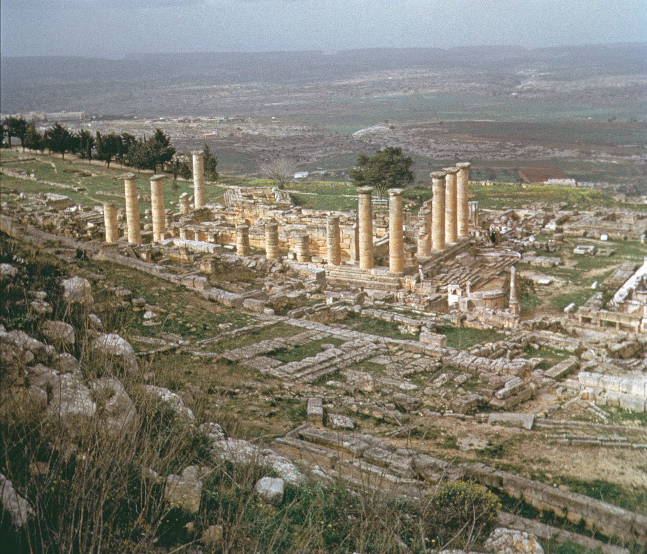 Yleinen näkymä ala-Kyreenistä tekijältä Greek