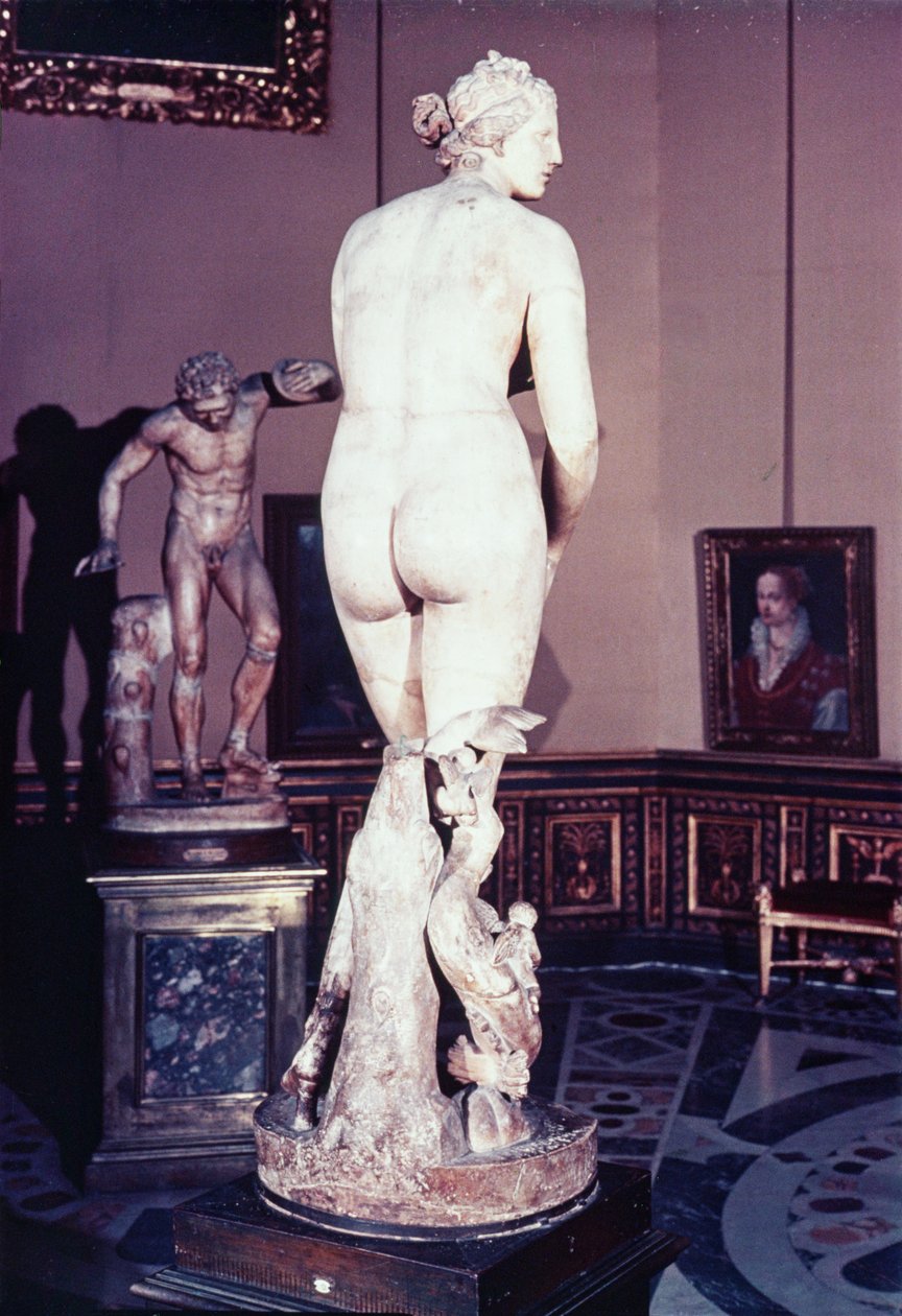Medici Venus, Kreikka, 300-luvun alku eKr. (marmori) tekijältä Greek