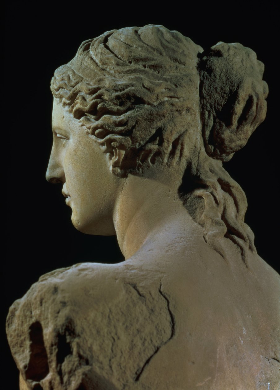 Venus de Milo, yksityiskohta takaraivosta, hellenistinen kausi, n.100 eKr. marmori, etukuva ks. 14152. tekijältä Greek