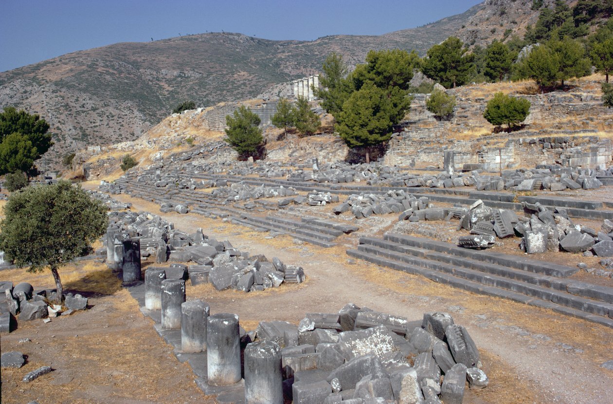 Yleisnäkymä kadulle ja agoralle tekijältä Greek School