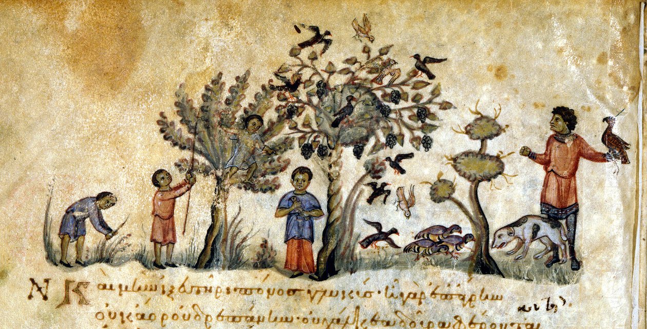 Metsästys haukkojen kanssa lintujen vangitsemiseksi – Oppianuksen "" De Venatione" -kirjassa, kreikkalainen käsikirjoitus 1200-luvulta. Biblioteca Marciana. Venetsia tekijältä Greek School