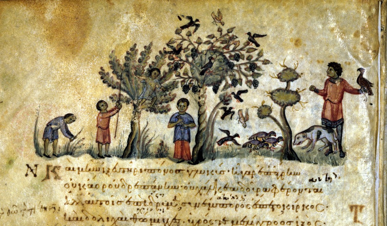 Metsästys haukalla ja lintujen pesien vangitseminen. Oppianus De Venationen kreikkalainen käsikirjoitus 1200-luvulta. tekijältä Greek School