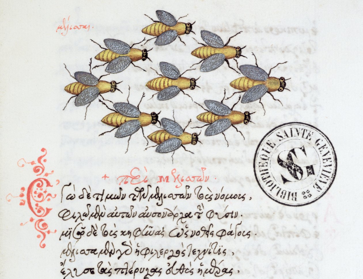 Ms 3402 Bees, Manuel Philesin bestiaarista, 1566 tekijältä Greek School
