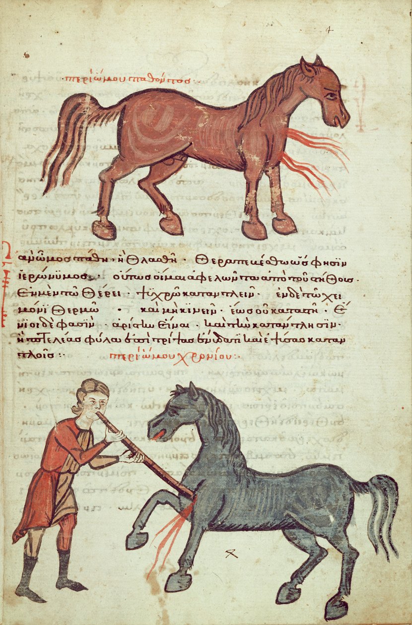 Ms Grec 2244 fol.4 Leikkaus hevosella tekijältä Greek School