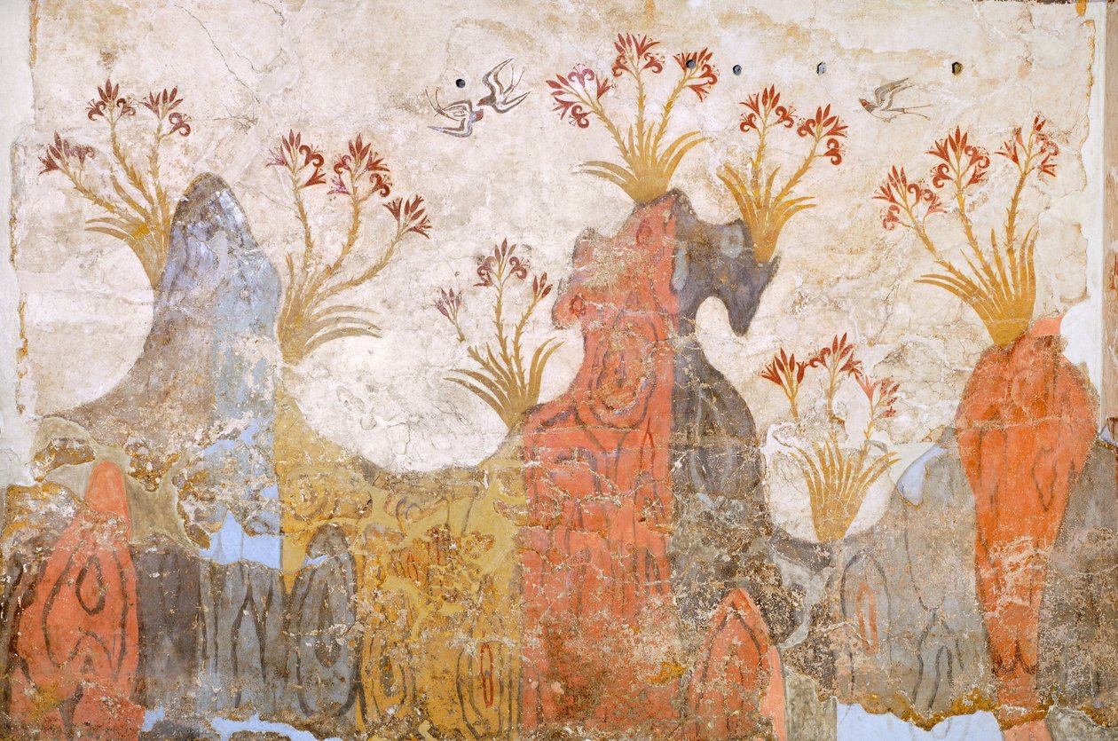Liljojen tai kevään huone, Akrotiri-fresco, Thera (nykyään Santorini), Kreikka, minolainen sivilisaatio tekijältä Greek School