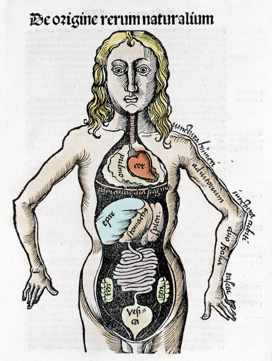 Gregor Reisch (1467-1525), Bale 1517 - Margaret of Philosophica (1467-1525), Bale tekijältä Gregor Reisch