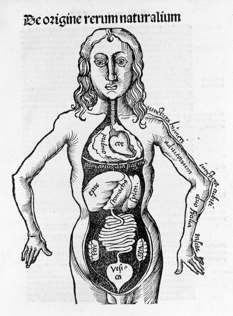 Gregor Reisch (1467-1525), Bale 1517 - Margaret of Philosophica (1467-1525), Bale tekijältä Gregor Reisch