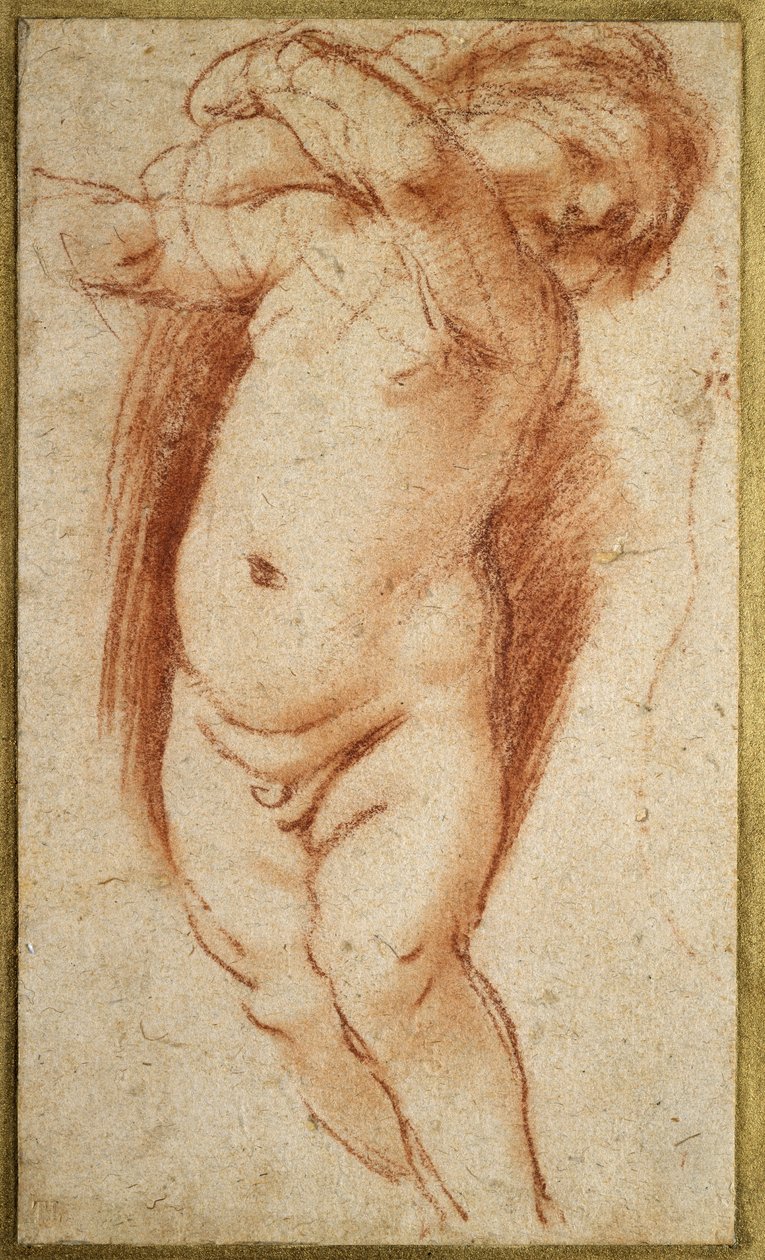 Putto, 1620 - 1624 (punaliitu harmaalle paperille) tekijältä Giovanni Francesco Barbieri