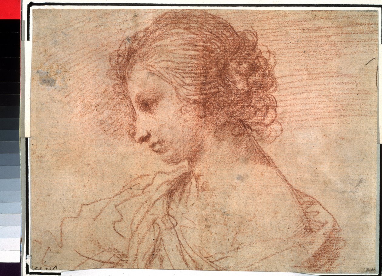 Nuoren tytön muotokuva. (Nuoren naisen rintakuva) tekijältä Guercino (1591-1666)