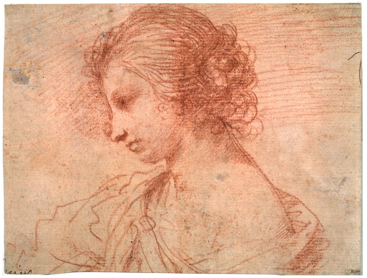 Nuoren naisen rintakuva 1600-luvulta tekijältä Guercino