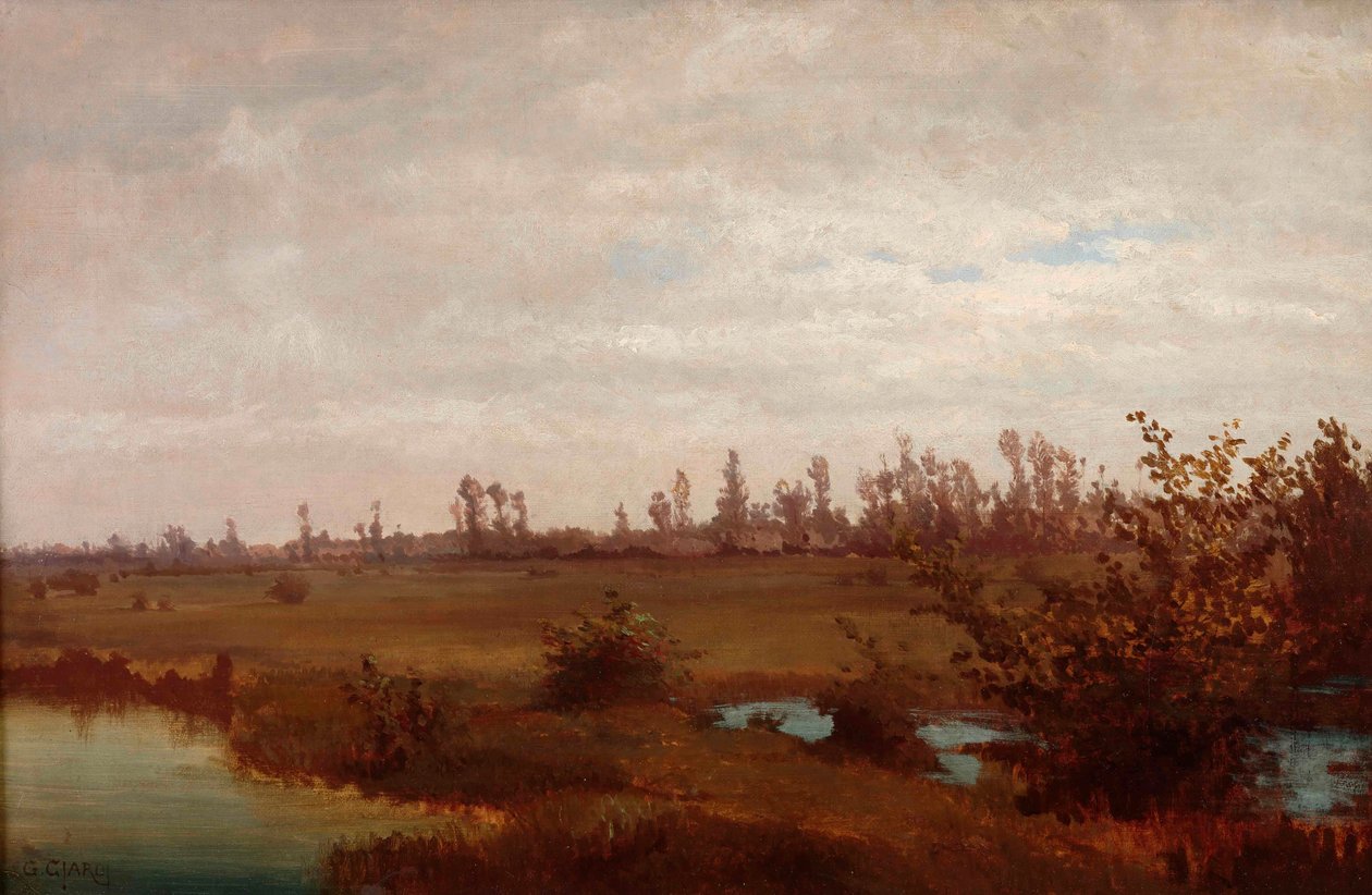 Marraskuun suot rämeellä, 1870-luku. tekijältä Guglielmo Ciardi