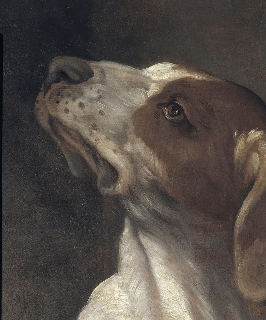 Der Heilige Rochus im Gefängnis, von einem Engel getröstet tekijältä Guido Reni