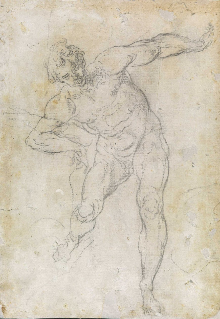Mies alaston tutkimus tekijältä Guido Reni