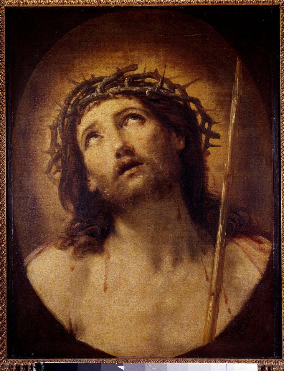 Ecce homo Guido Reni dit Le Guiden maalaus (1575-1642) 1600-luvun su. 0,62x0,48 m tekijältä Guido Reni