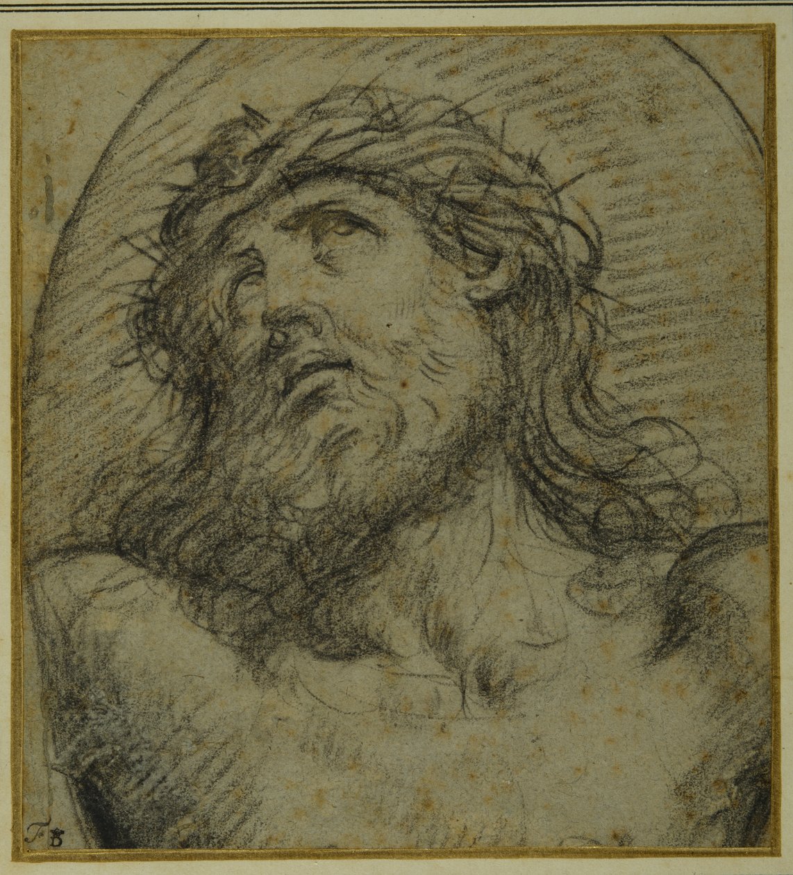 Ristiinnaulitun elävän Kristuksen pää ja hartiat (musta liitu carta azzurrassa) tekijältä Guido Reni