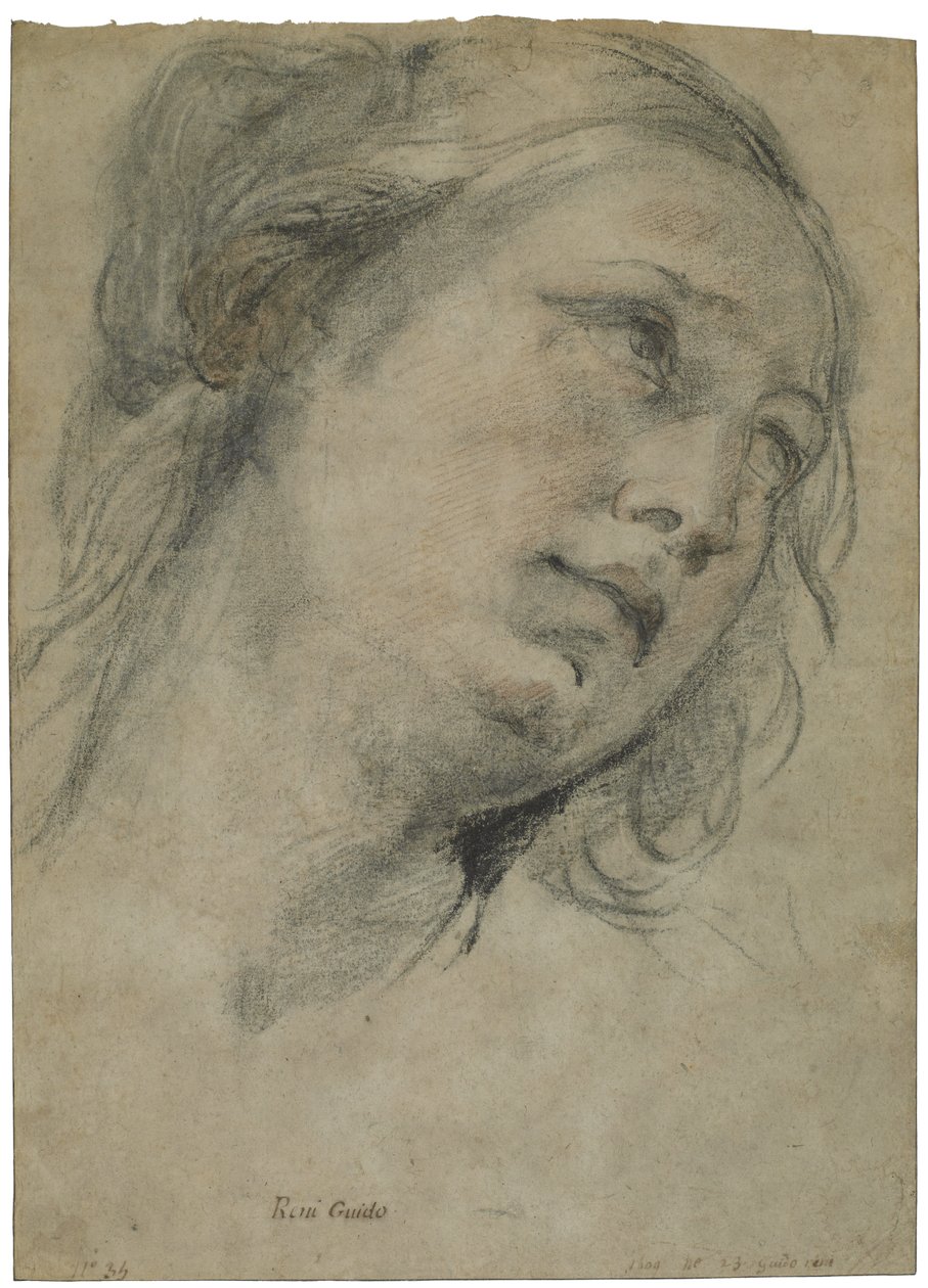Ylöspäin katsovan nuoren naisen pää, n. 1609 (musta-punainen liitu, jossa valkoista liitua ruskealle levitetylle paperille) tekijältä Guido Reni