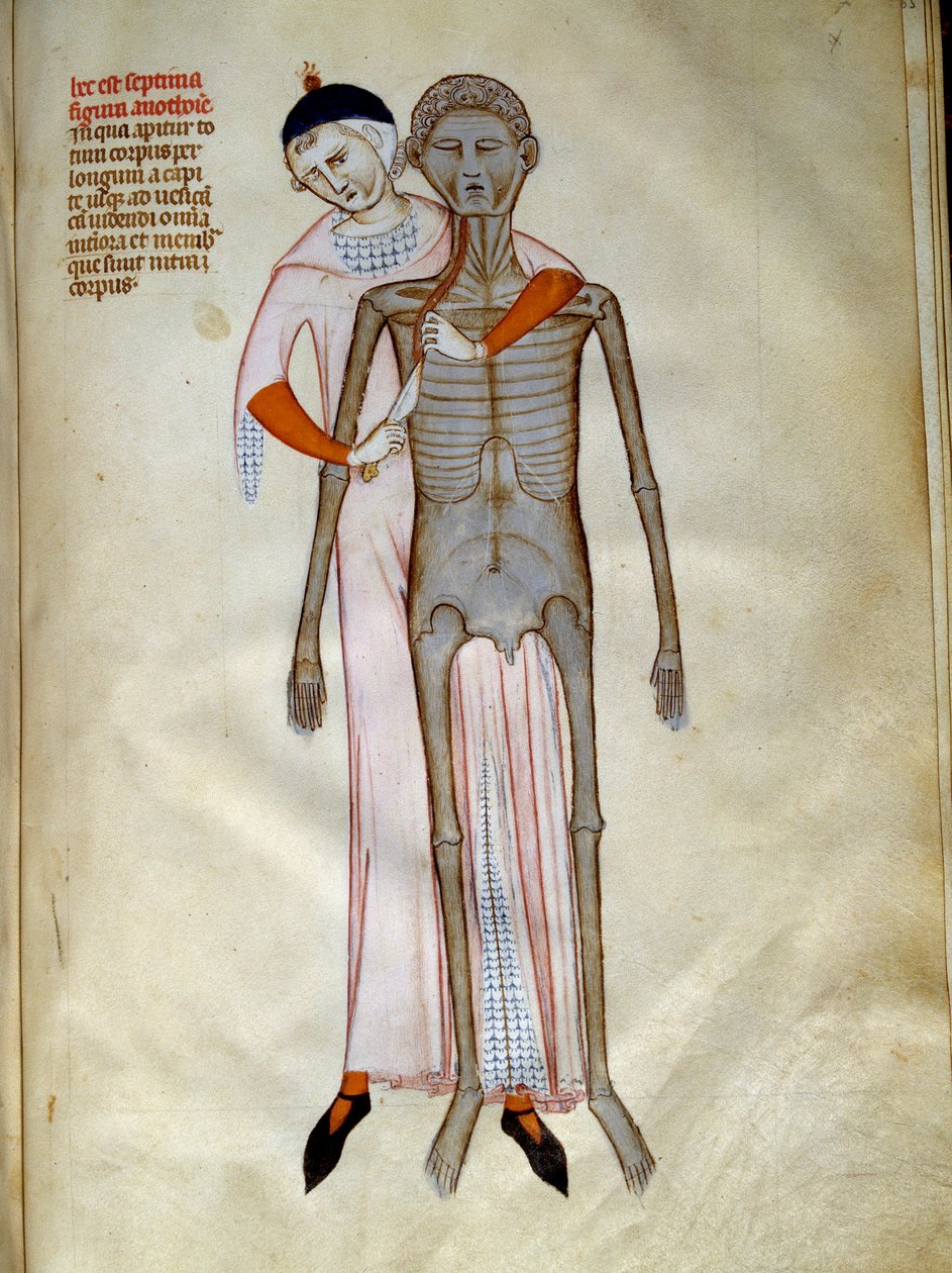 Leikkaus: Rintakehän leikkaus. Miniatyyri teoksessa ""Liber notables Philippi, frankien seitsemäs kuningas, poimittu Galienin kirjoista"", jonka on kirjoittanut Gui (Guy) Pavialainen tekijältä Guido da Vigevano da Pavia