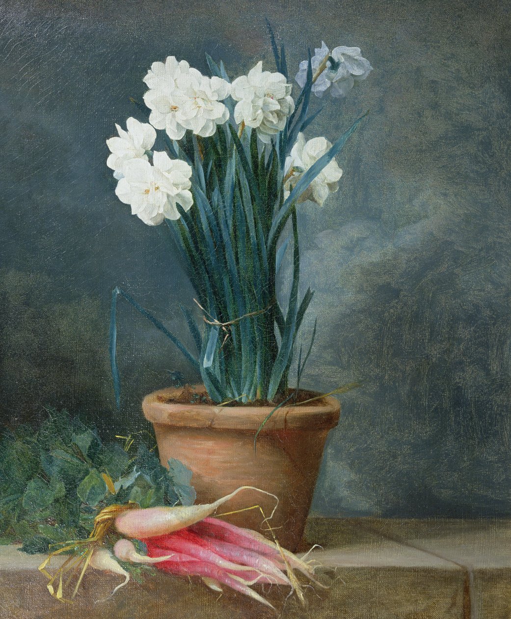 Narcissin asetelma terrakottaruukussa tekijältä Guillaume Thomas Raphael Taraval