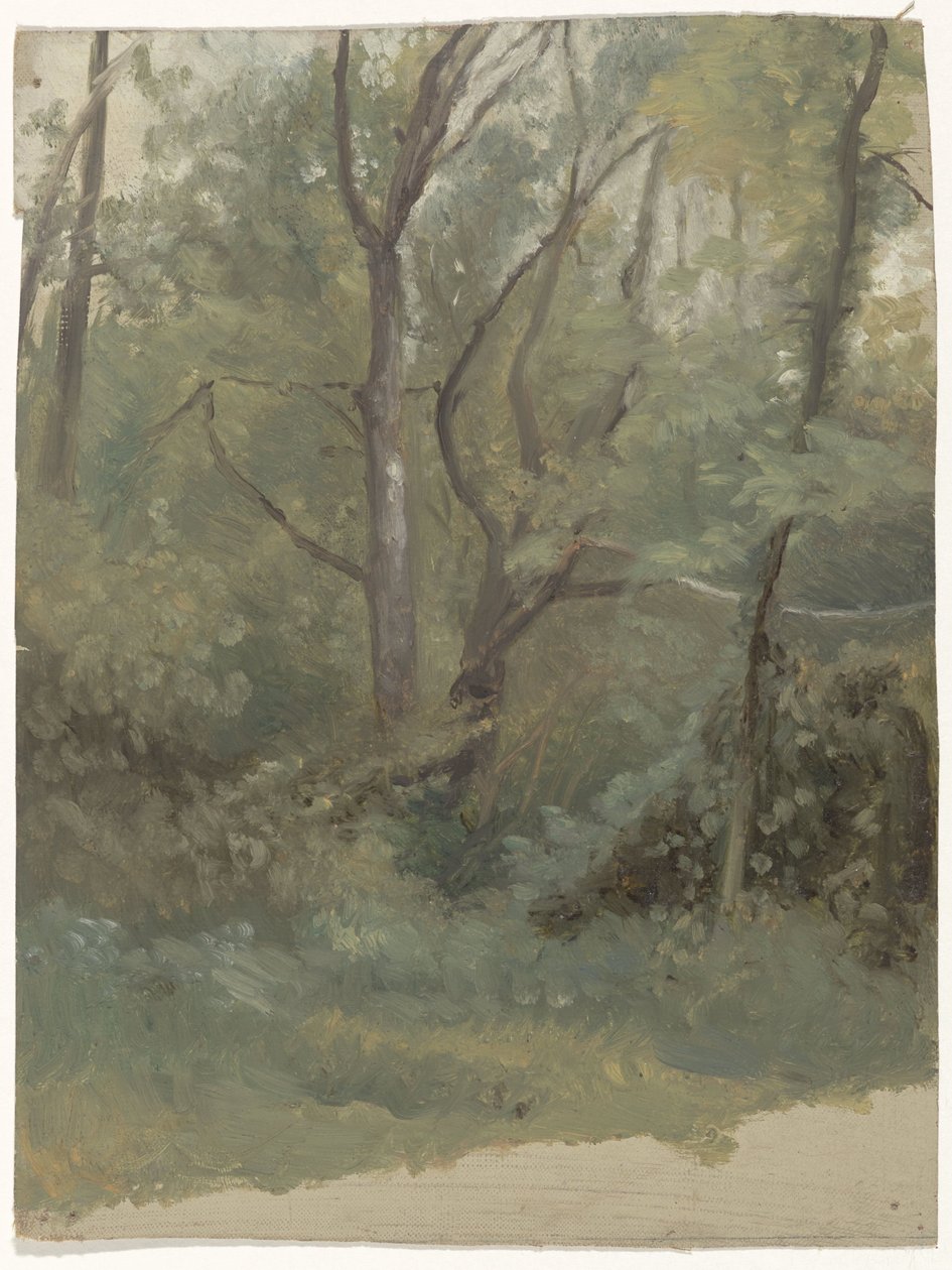 Metsänäkymä tekijältä Guillaume Anne van der Brugghen