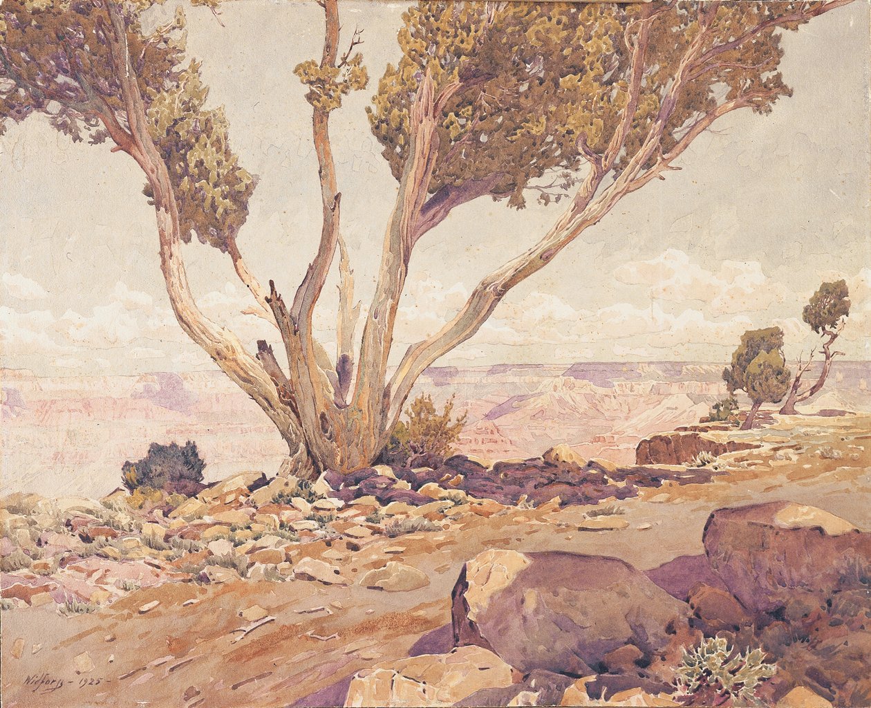 Grand Canyon tekijältä Gunnar Widforss