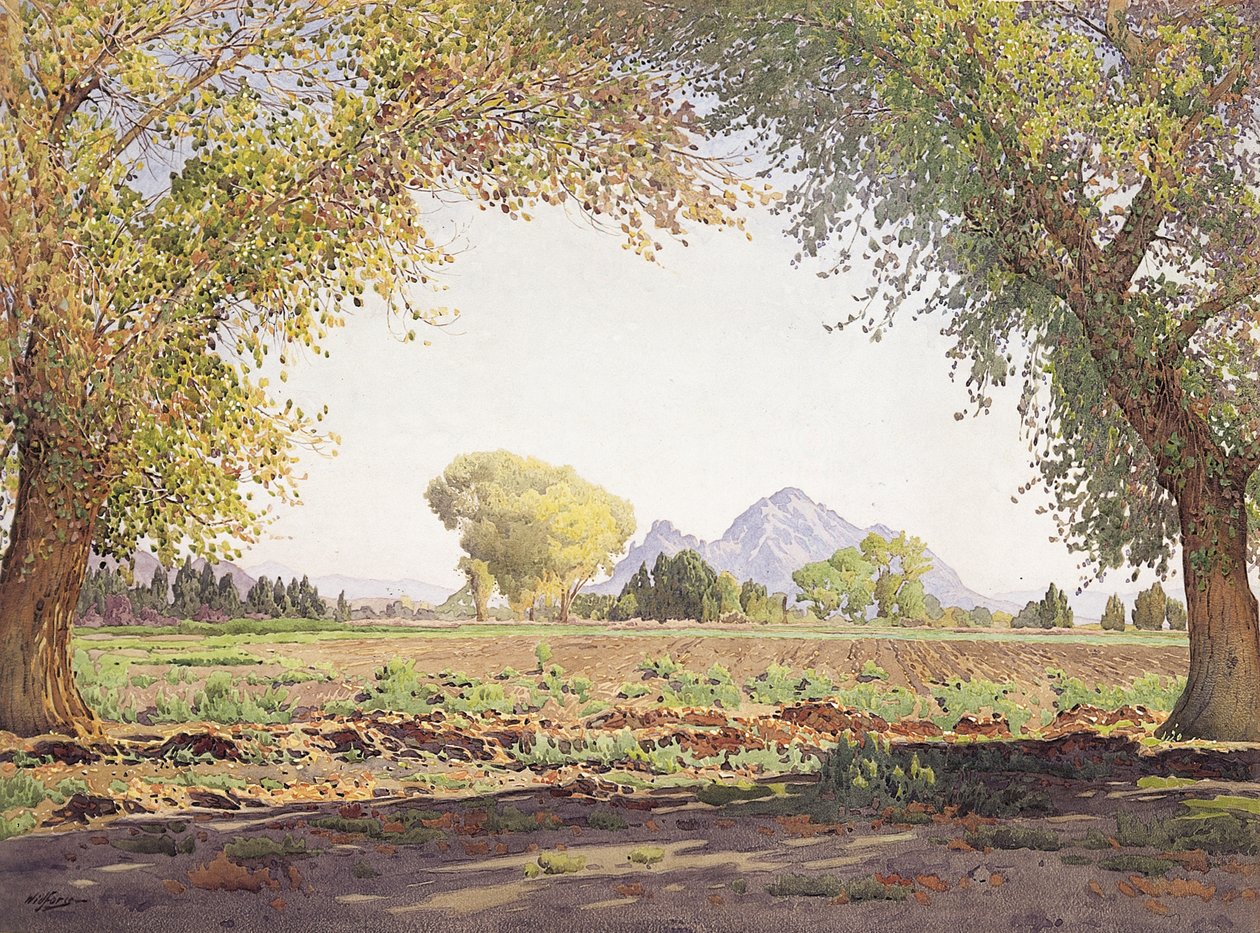 The Salt River Valley (w/c ja guassi paperilla) tekijältä Gunnar Widforss