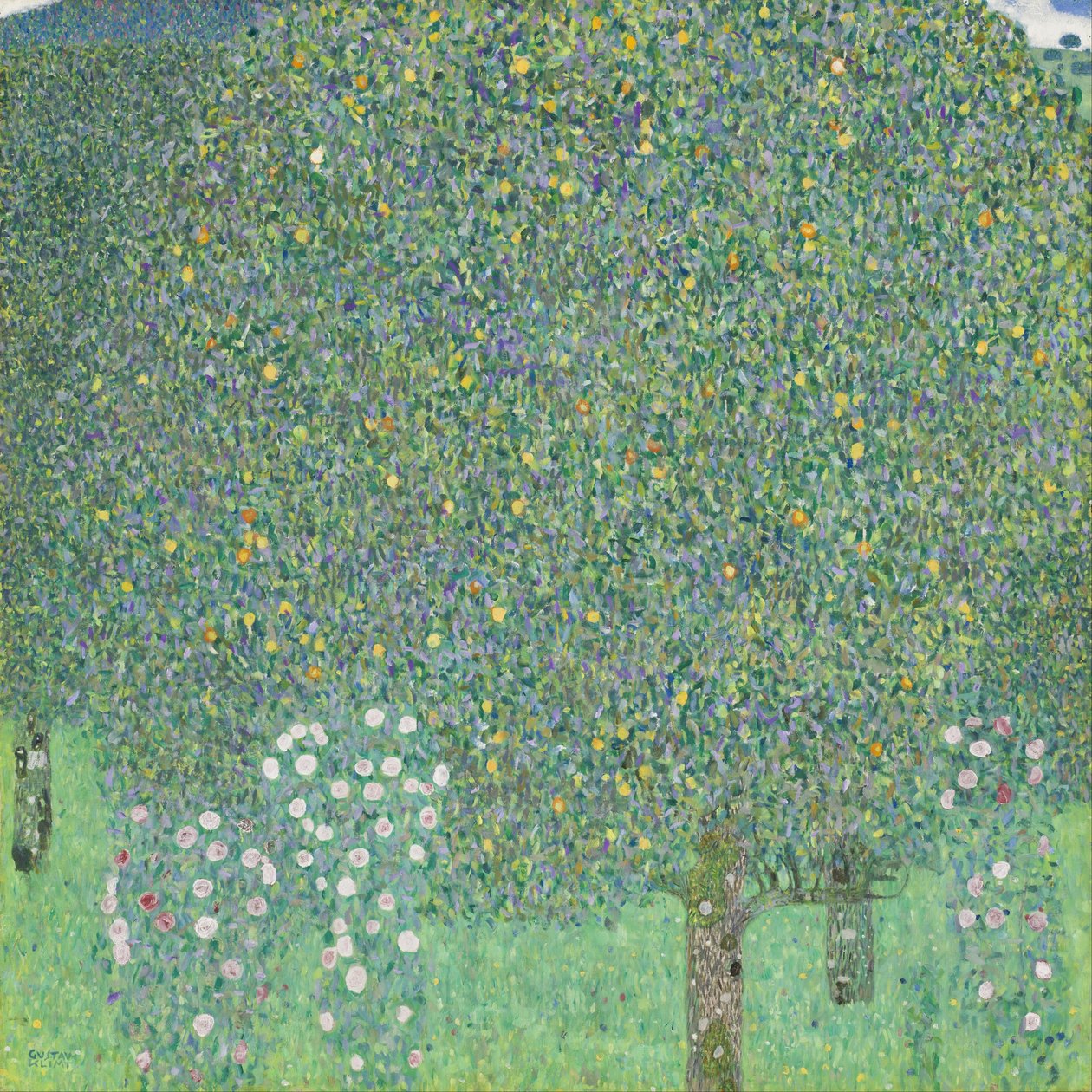 Tanssiva nainen Cape tekijältä Gustav Klimt