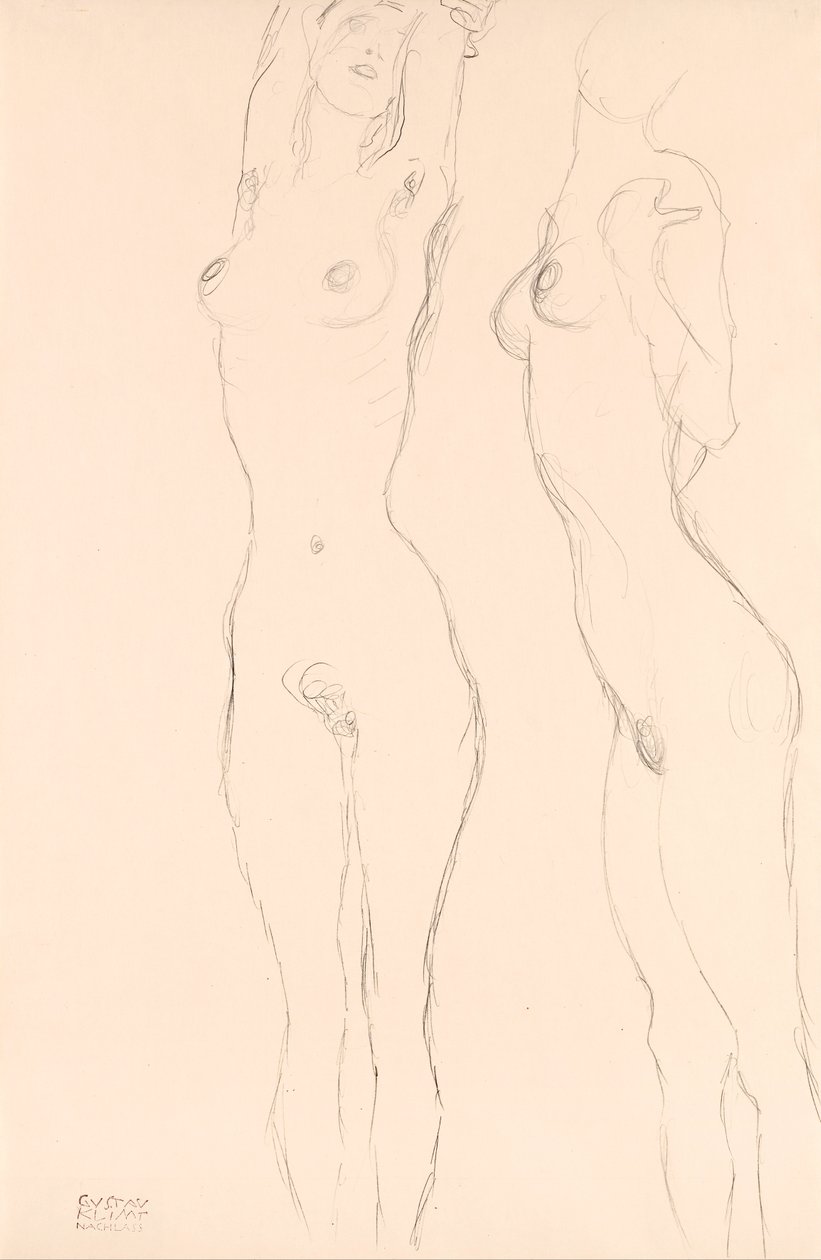 Kaksi alastonta, vasen ja kohotetut kädet tekijältä Gustav Klimt