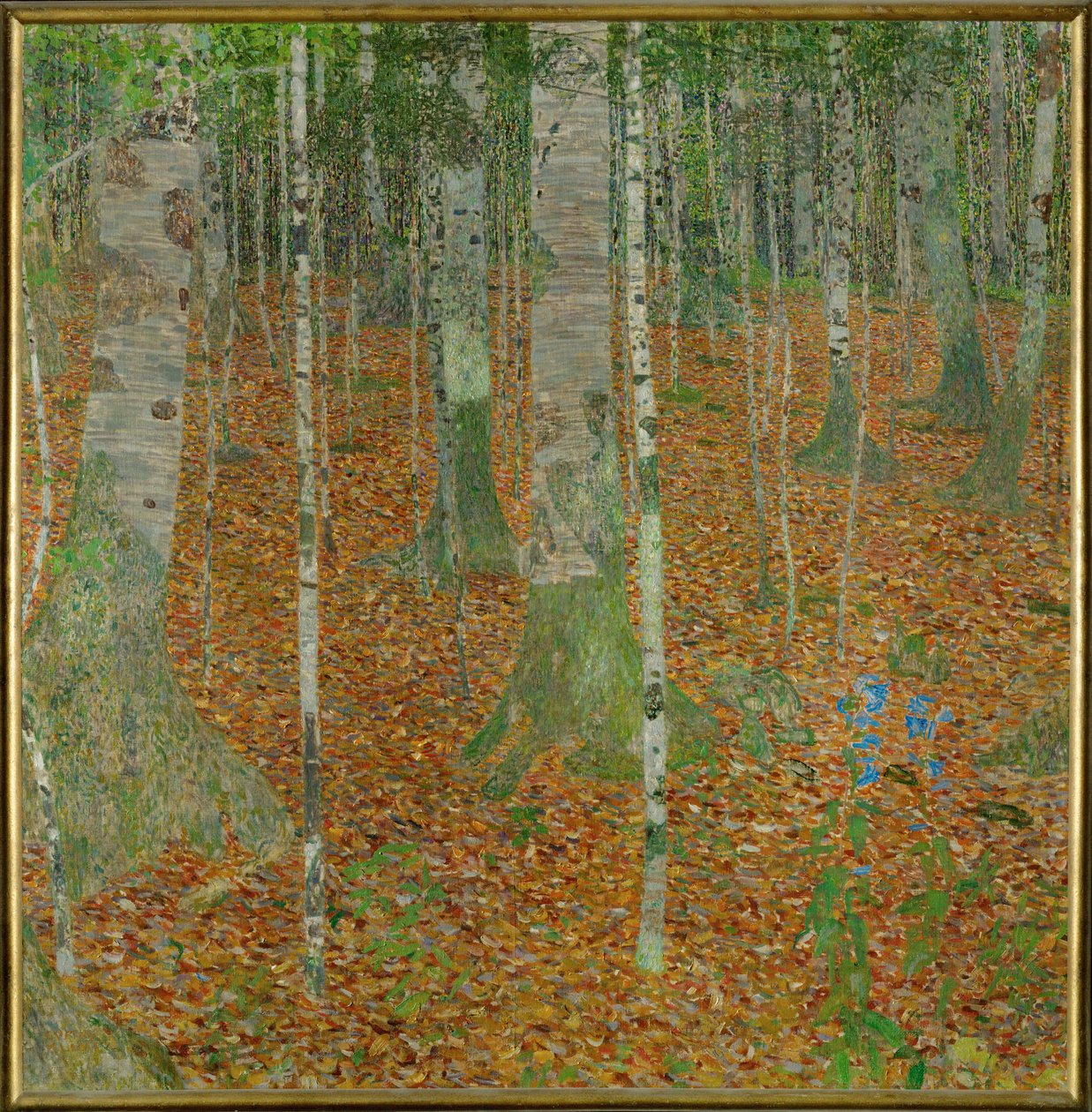 Beech Woods (Koivumetsät) tekijältä Gustav Klimt