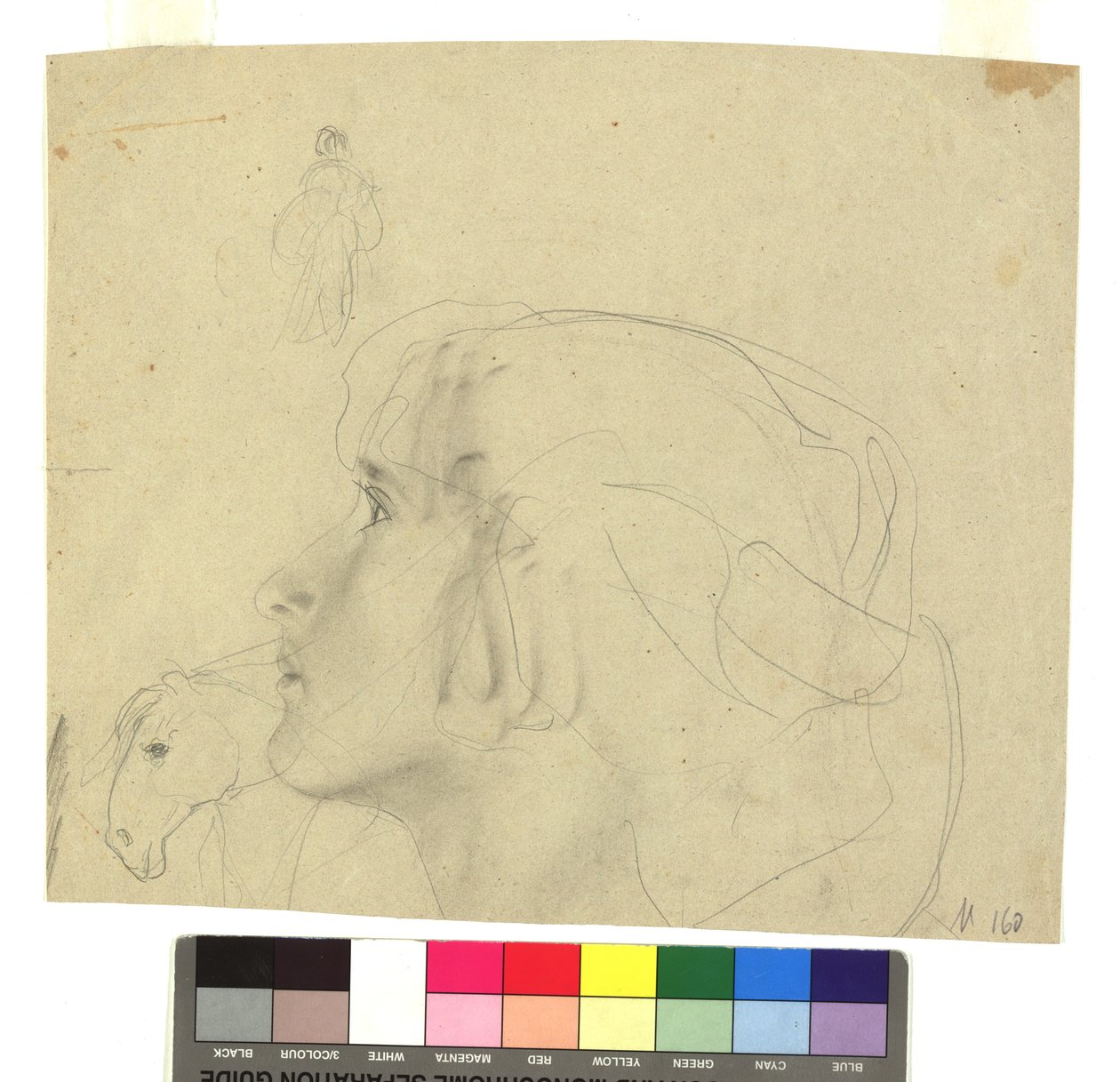 Weiblicher Kopf im Profil nach links, Pferdekopf im Profil, Figurenstudie tekijältä Gustav Klimt