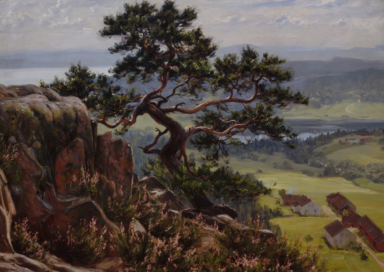 Näkymä Vardåsenille tekijältä Gustav Wentzel
