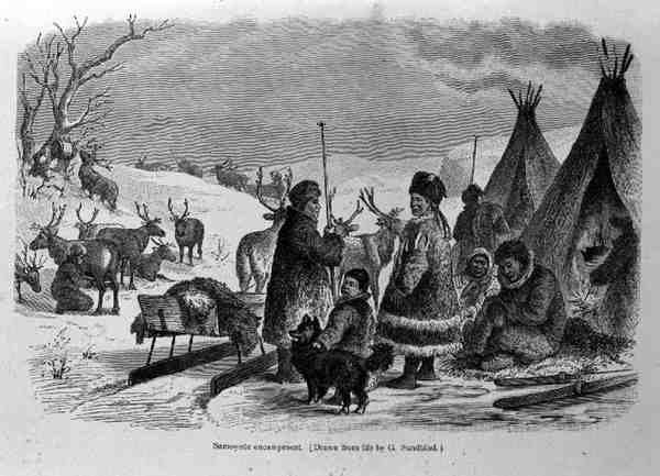 Samoyede Campment, Prof. Friedrich Rayzelin ihmiskunnan historiasta, pub. vuonna 1904 tekijältä Gustav after Sundblad