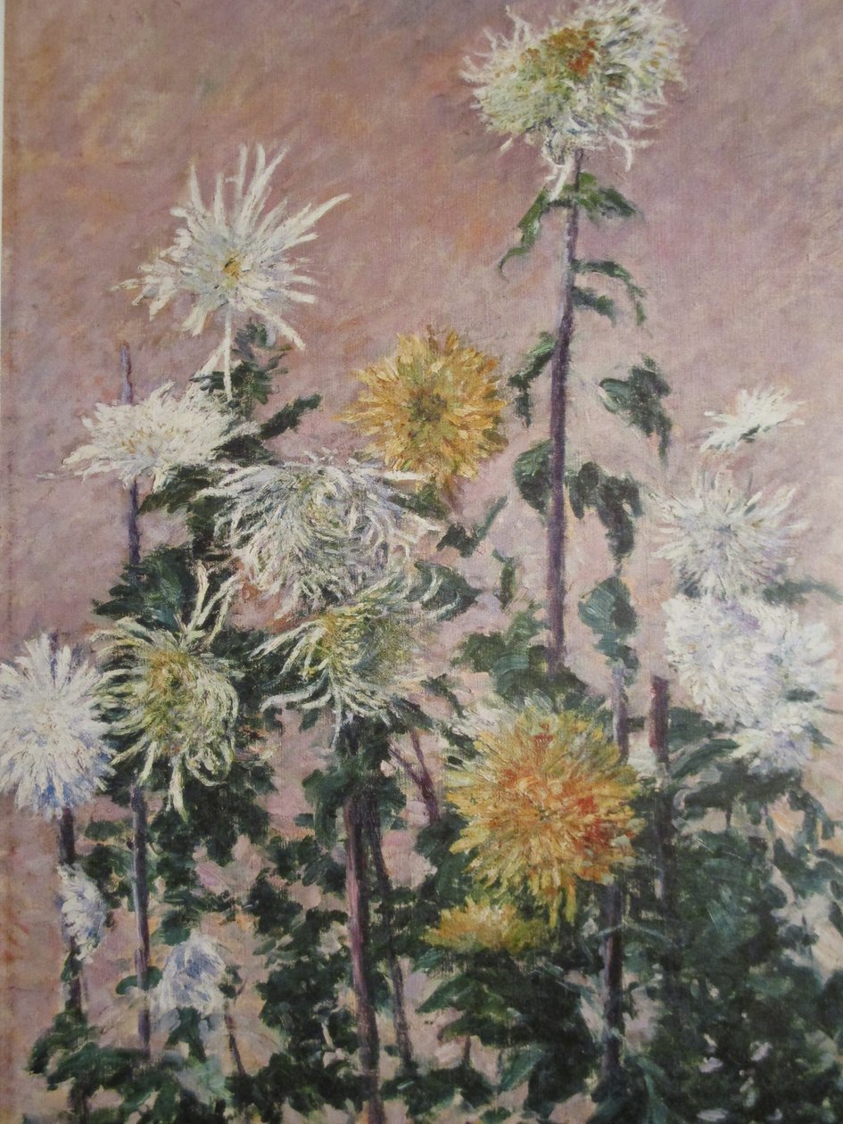 Chrysanthèmes blancs et jaunes tekijältä Gustave Caillebotte