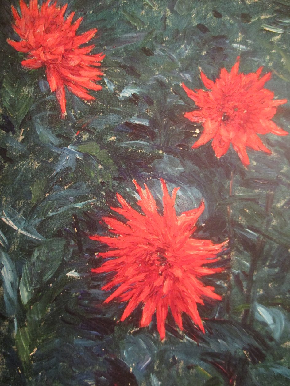 Daaliat kaktus rouges (1892) tekijältä Gustave Caillebotte
