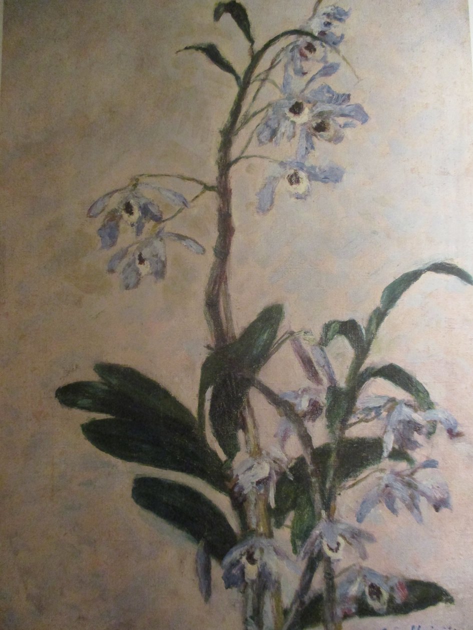 Les Orchidées tekijältä Gustave Caillebotte