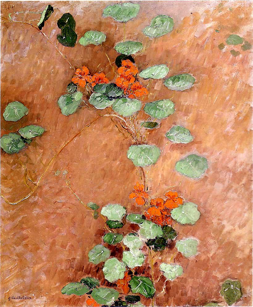 Nasturces tekijältä Gustave Caillebotte
