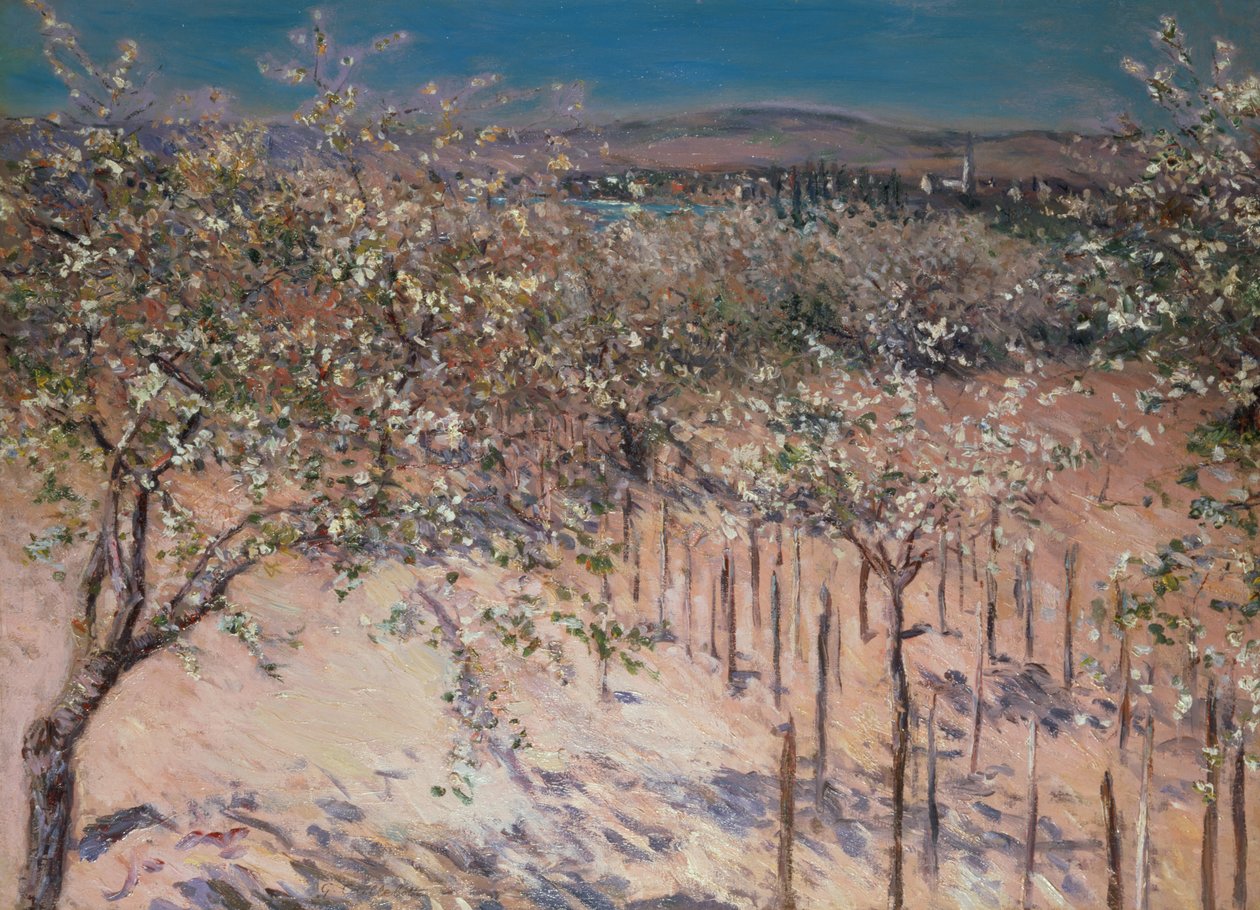 Hedelmätarha kukkivilla omenapuilla, Colombes tekijältä Gustave Caillebotte