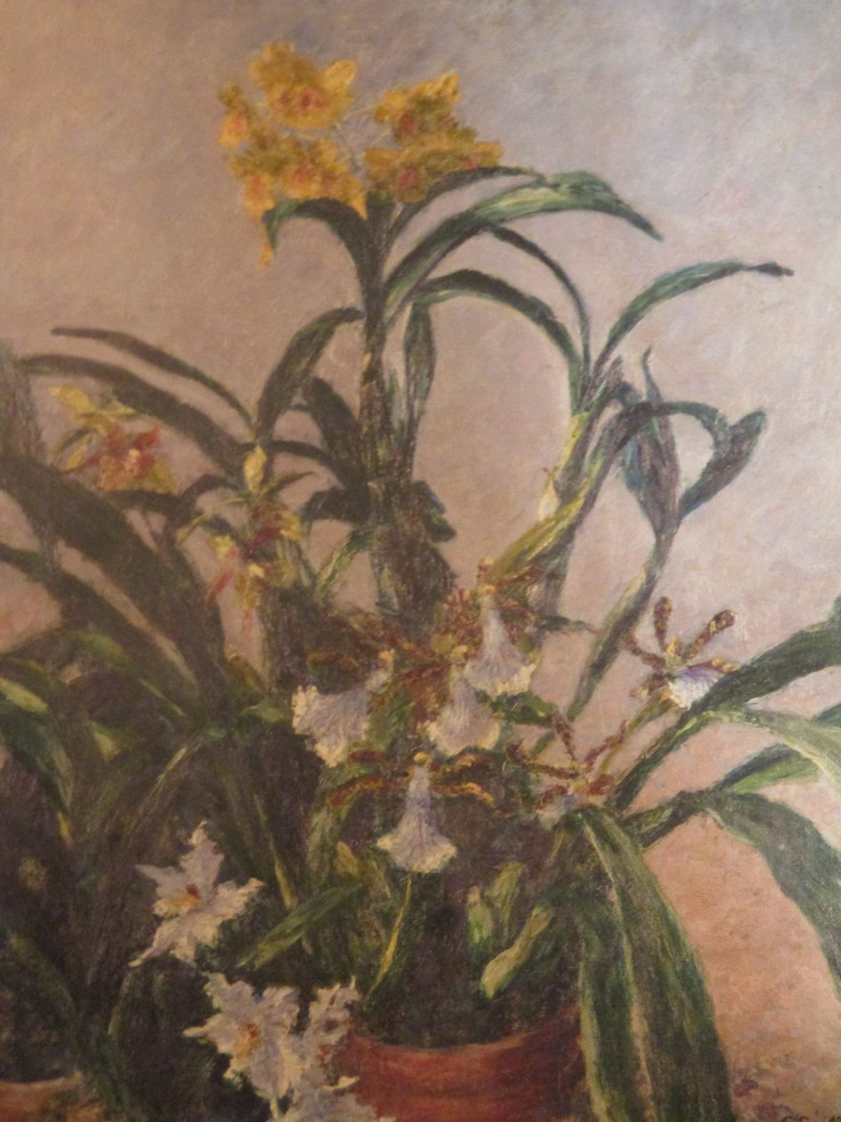 Orchidées jaunes tekijältä Gustave Caillebotte