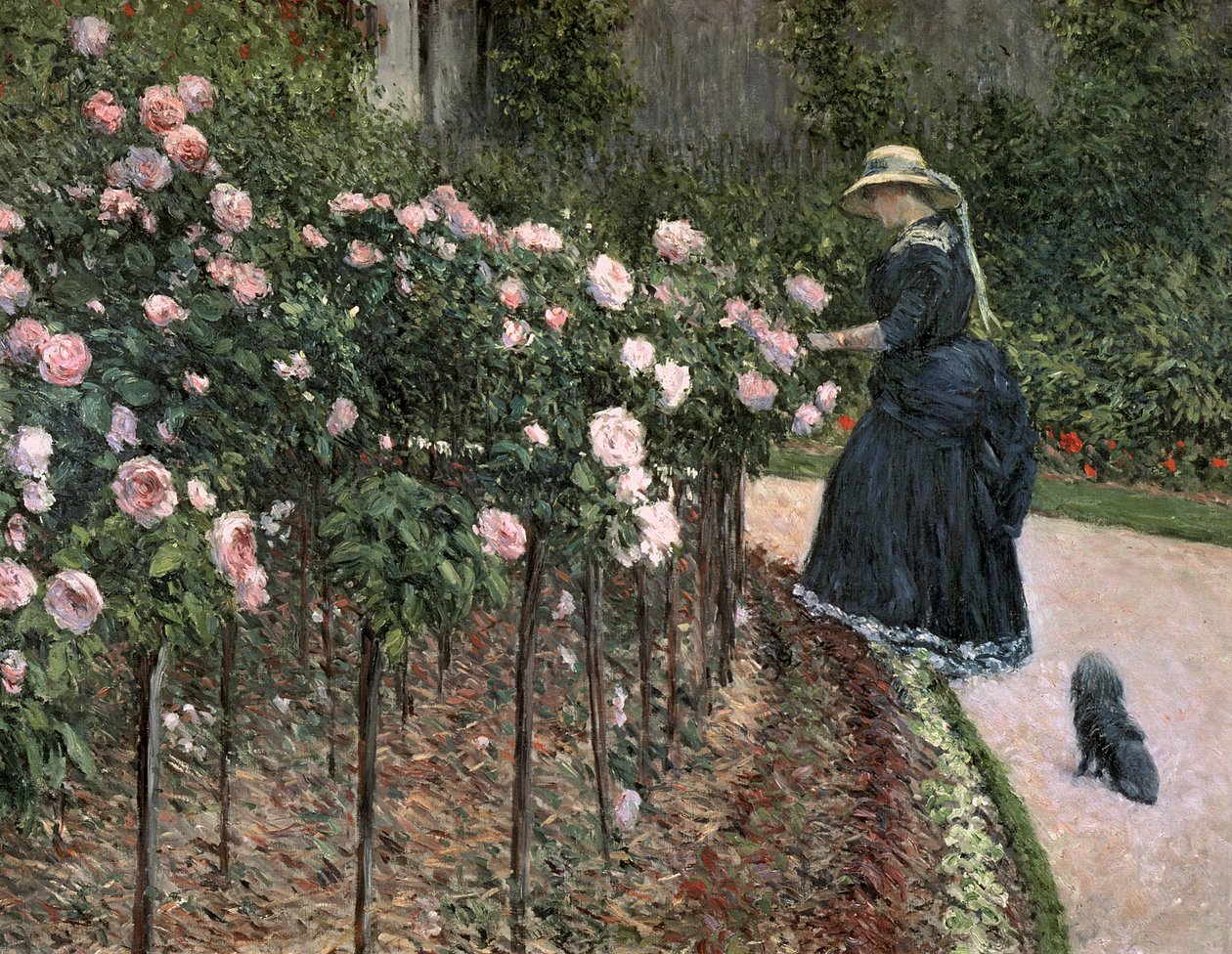 Ruusut puutarhassa Petit Gennevilliersissä, 1886 tekijältä Gustave Caillebotte