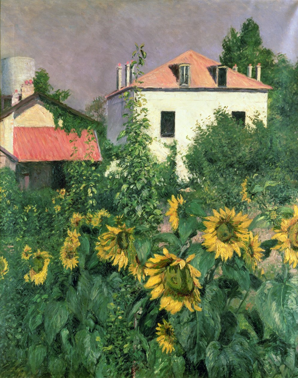 Auringonkukat Petit Gennevilliersin puutarhassa tekijältä Gustave Caillebotte