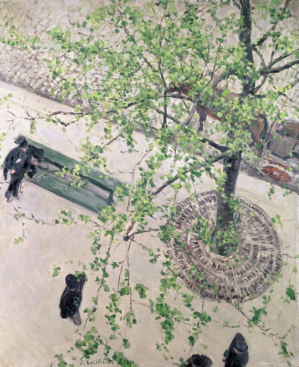 Bulevardi ylhäältä katsottuna, 1880 tekijältä Gustave Caillebotte