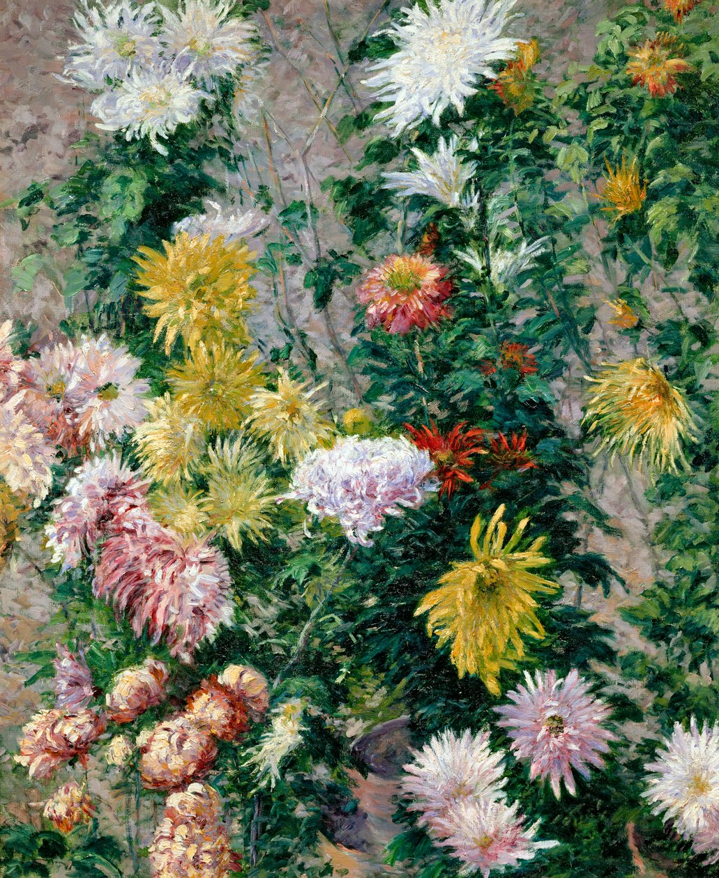 Valkoiset ja keltaiset krysanteemit, 1893 tekijältä Gustave Caillebotte