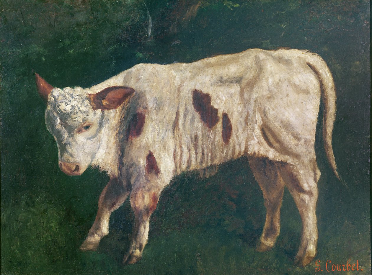 Vasikka tekijältä Gustave Courbet