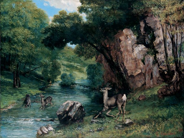 Metsäkauris virrassa tekijältä Gustave Courbet