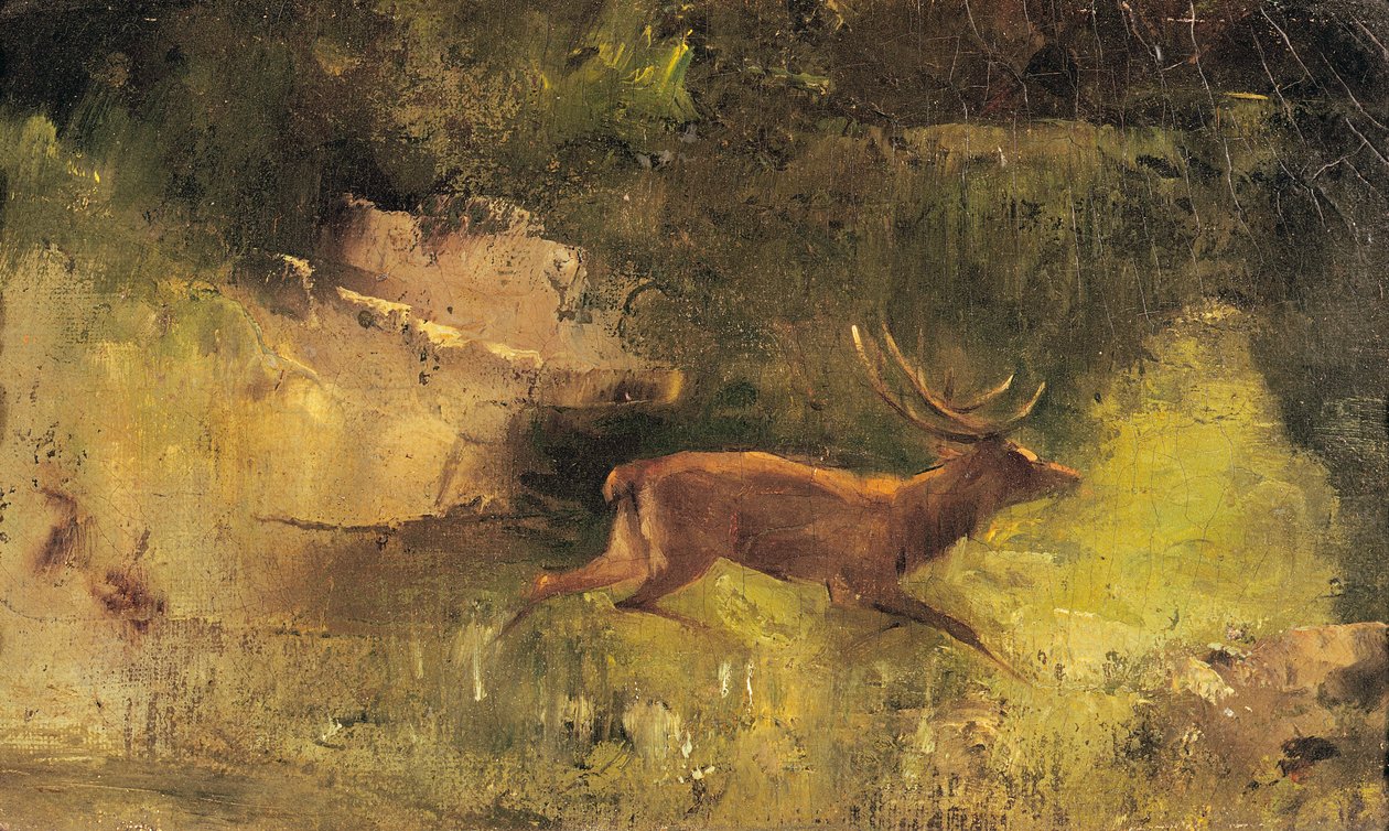 Hirvi juoksee metsän läpi, n. 1865 tekijältä Gustave Courbet